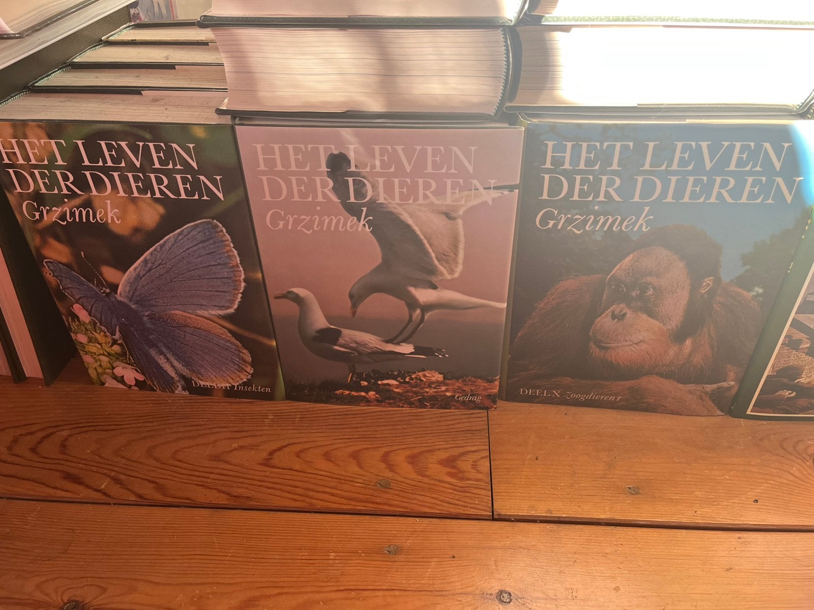 Grizmek encyclopedie “het leven der dieren”, Boeken, Encyclopedieën, Ophalen of Verzenden, Zo goed als nieuw, Dieren