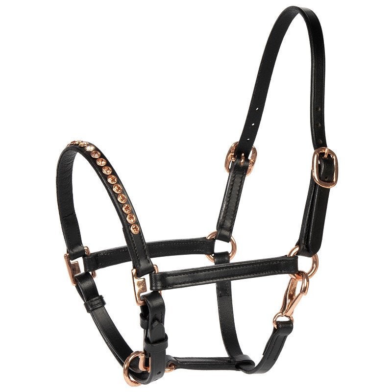 Harry’s horse halster leer rosegold crystal veulen nieuw, Dieren en Toebehoren, Ophalen of Verzenden, Nieuw, Halster