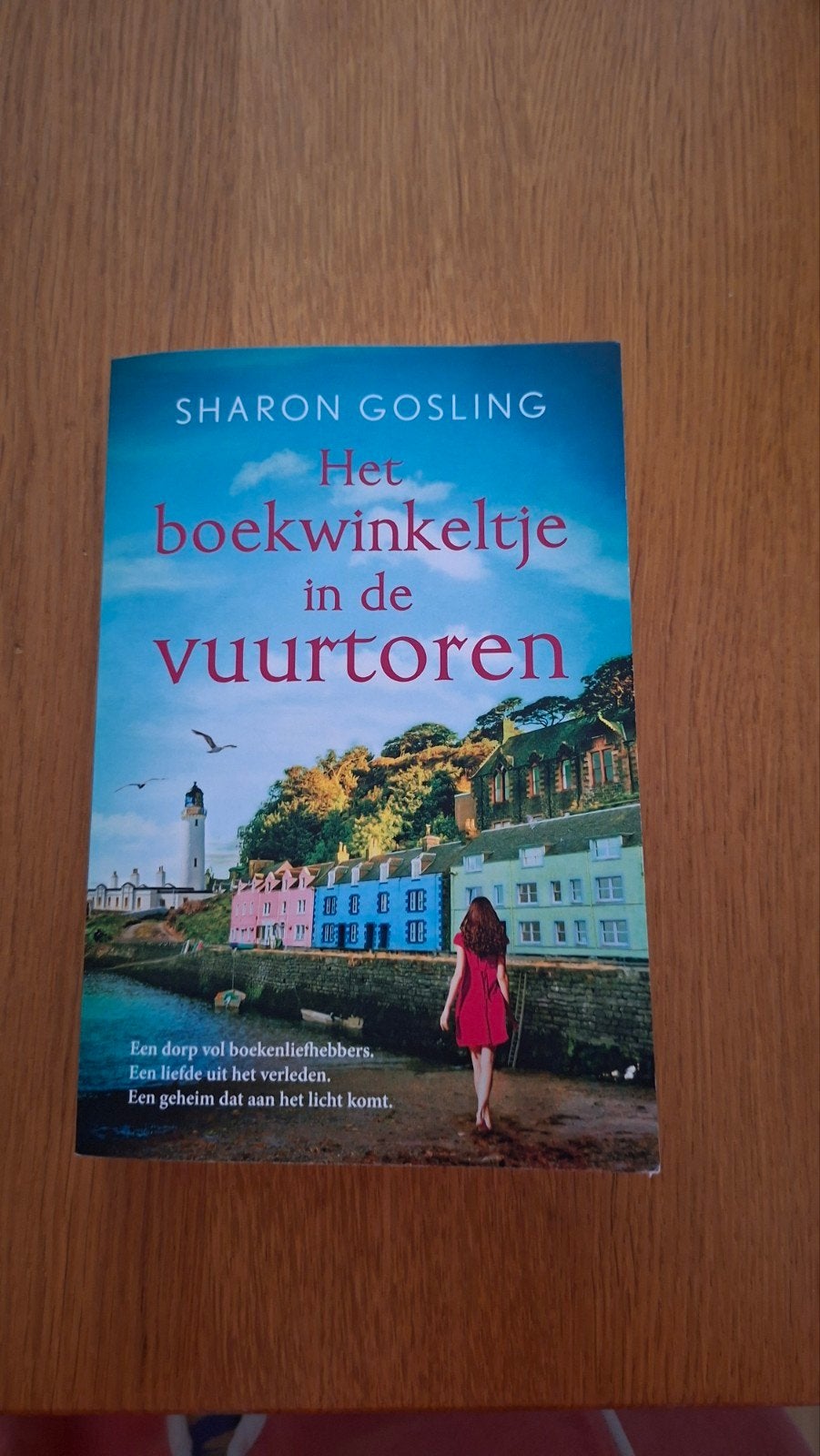 het boekenwinkeltje in de vuurtoren, Ophalen of Verzenden