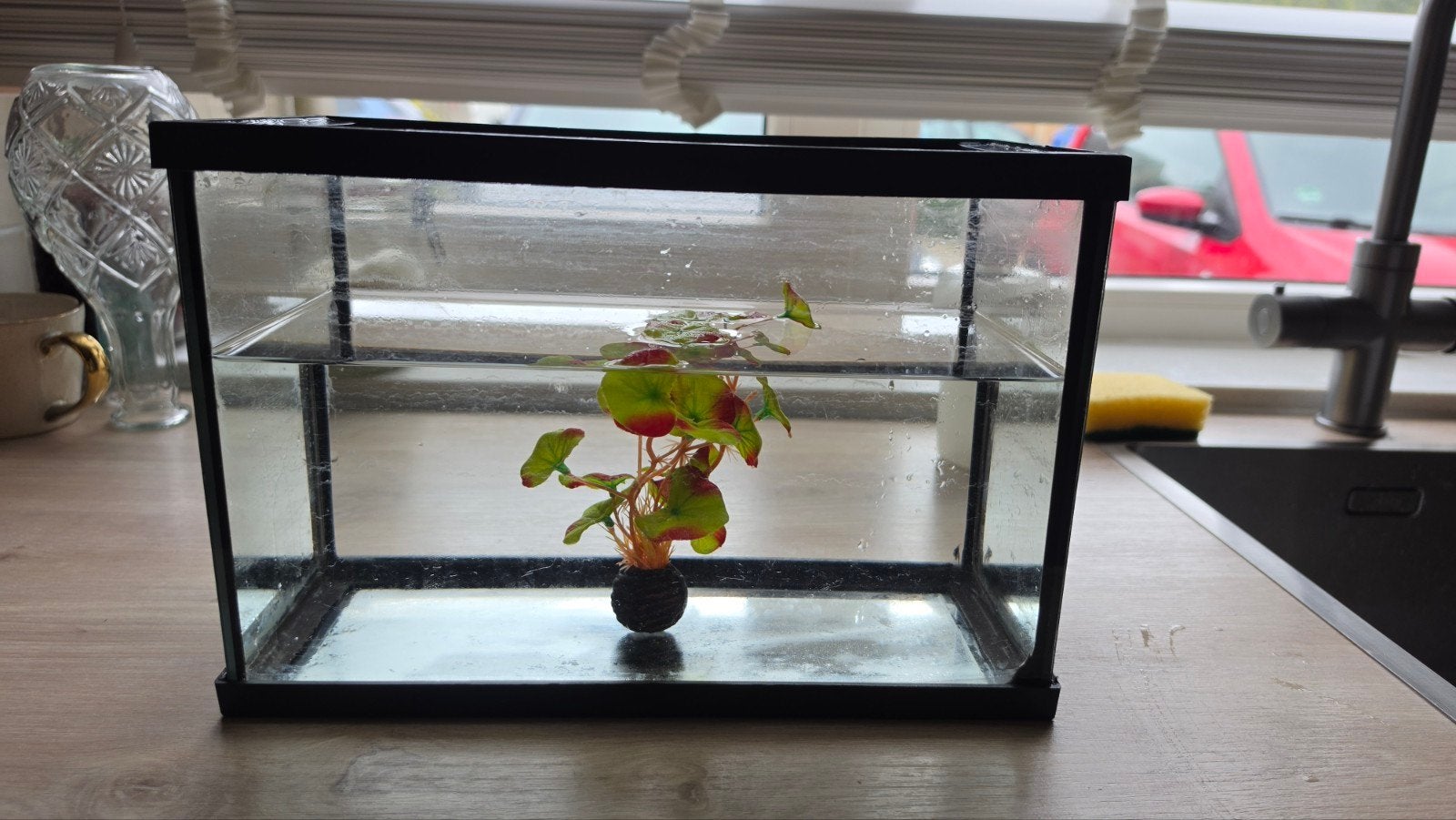 klein aquarium 30x15x20, Ophalen, Gebruikt, Leeg aquarium