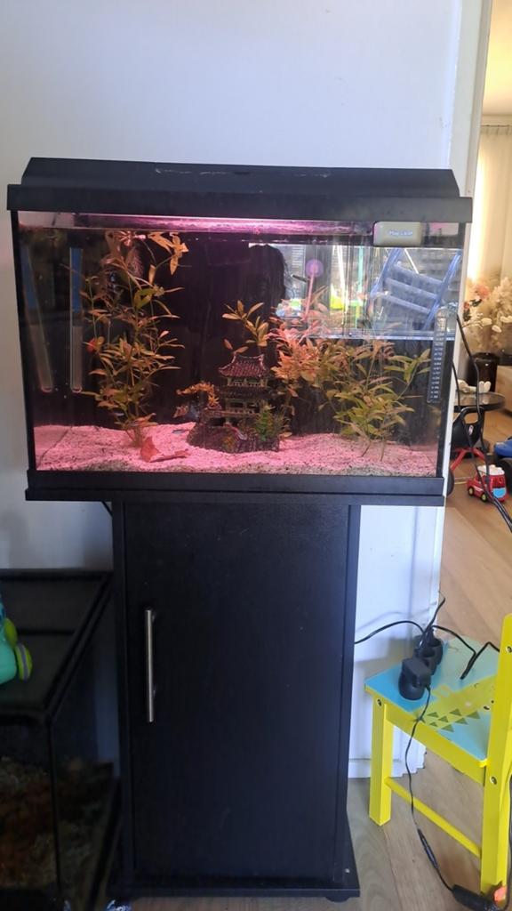 aquarium juwel, Ophalen, Leeg aquarium