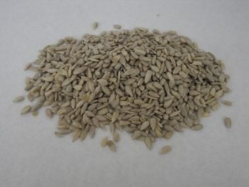 19kg gepelde zonnepitten voor de buitenvogels incl verzenden, Verzenden, Nieuw, Nvt, Eten en Drinken