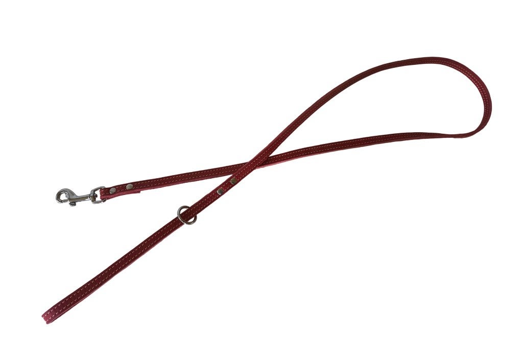 JACK AND VANILLA Hondenriem Gevet Leder Rood 120 cm KOOPJE!, Ophalen of Verzenden, Nieuw, Hondenriem