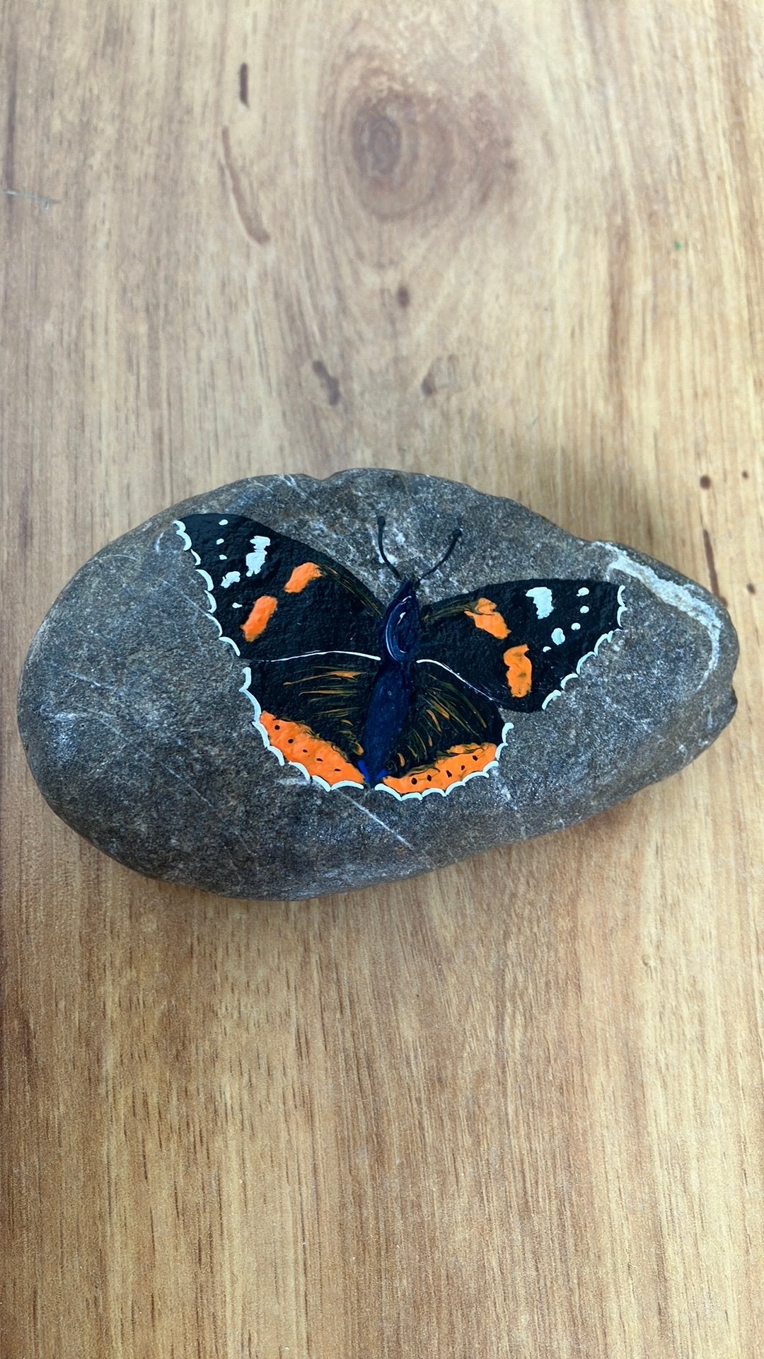 Hand beschilderde steen vlinder, Ophalen of Verzenden