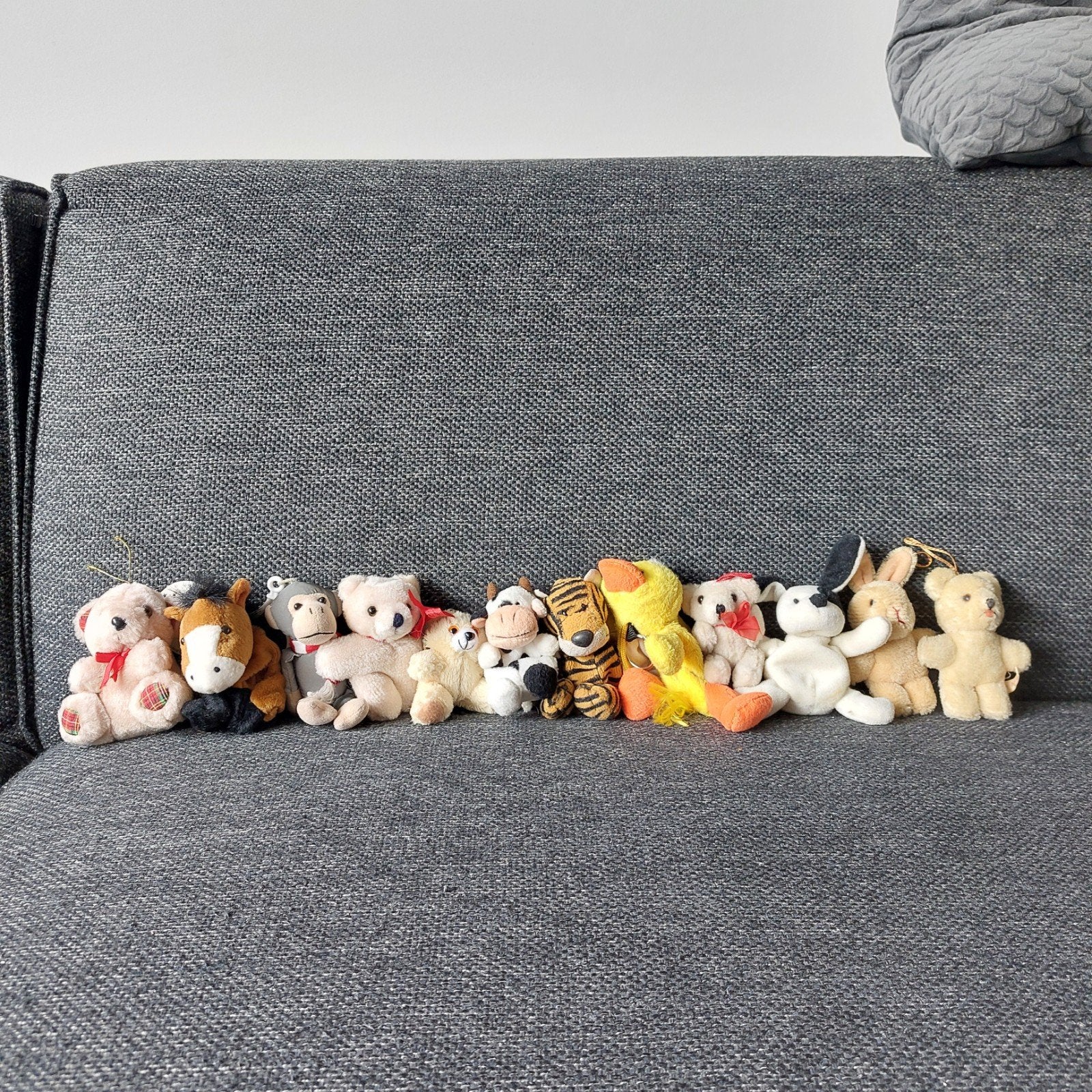 Collectie mini knuffels - diverse dieren, Ophalen of Verzenden, Gebruikt, Meerkleurig, Klein (minder dan 20 cm)