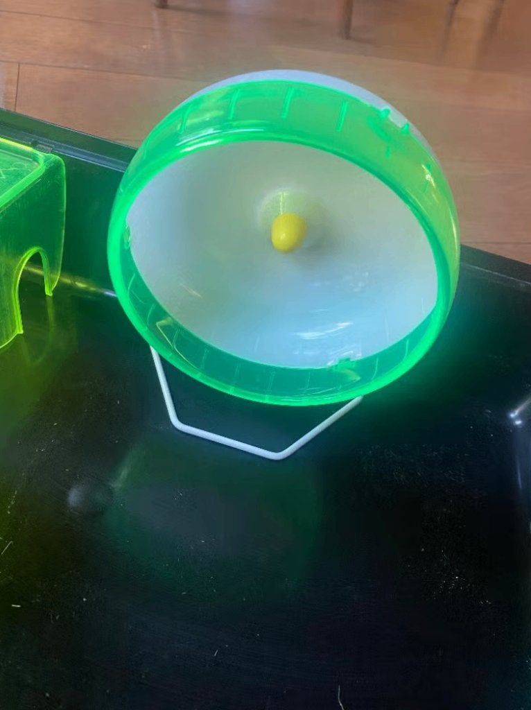 Knaagdierkooi met inrichting (hamster, muis, e.d.), Minder dan 60 cm, Kooi, Gebruikt, Ophalen of Verzenden