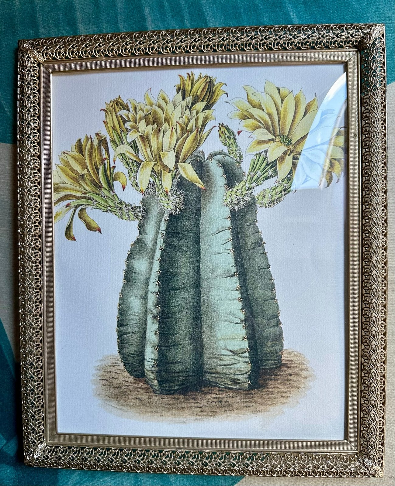 Vintage goudkleurige barok lijst met botanische print, Huis en Inrichting, Ophalen of Verzenden, Zo goed als nieuw