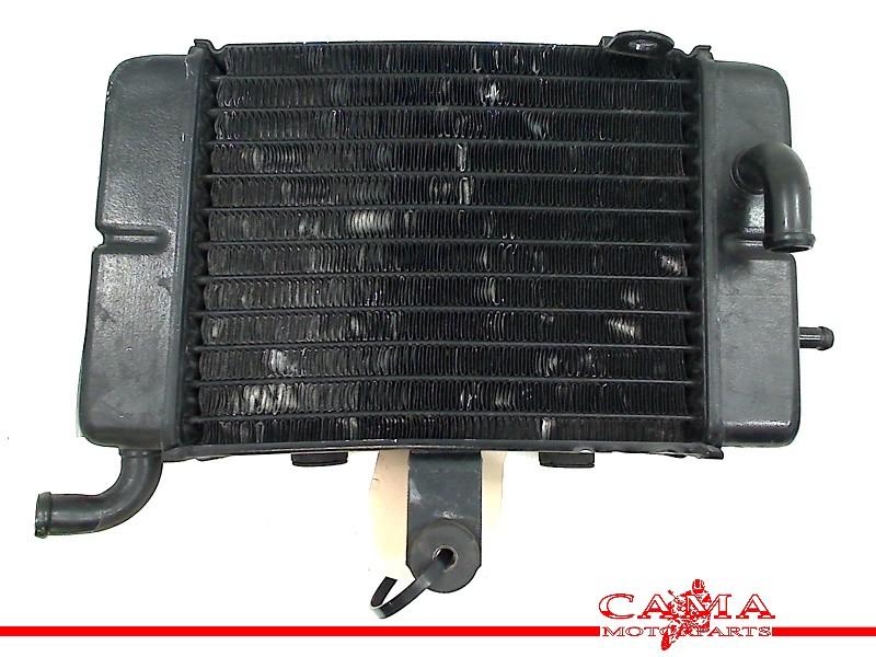 Radiateur Honda XL 600 V Transalp 1997-1999 (XL600V PD10), Honda, Gebruikt, Hanauer Landstraße  222-224, Frankfurt am Main 60314, , Duitsland