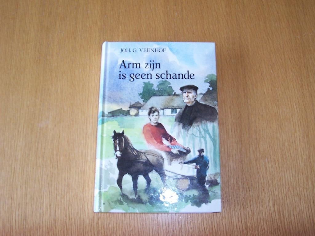 Joh G Veenhof Arm zijn is geen schande, Boeken, Ophalen of Verzenden, Zo goed als nieuw