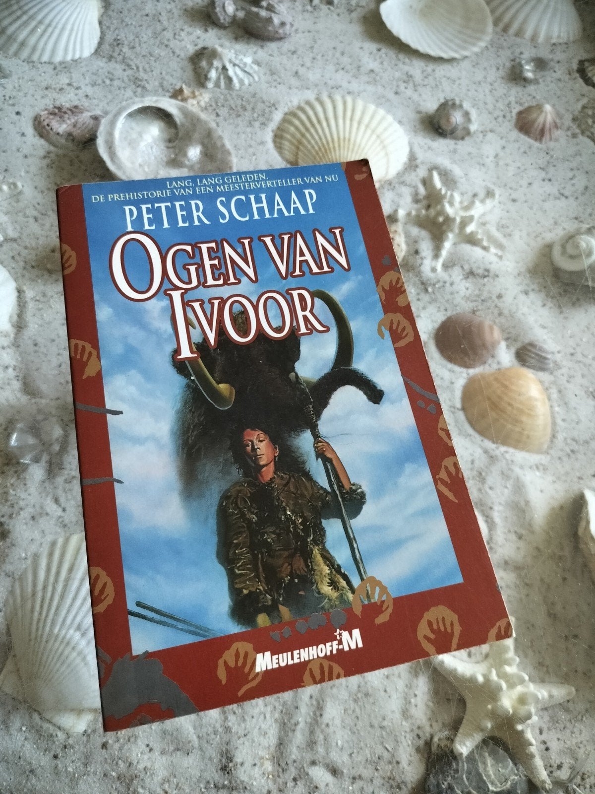 Peter Schaap - Ogen van ivoor, Ophalen of Verzenden, Gelezen, Peter Schaap