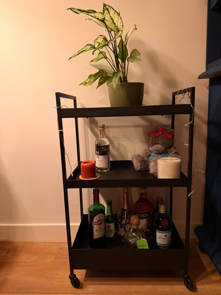 IKEA Cabinet on wheels, Huis en Inrichting, Kasten | Stellingkasten, Ophalen
