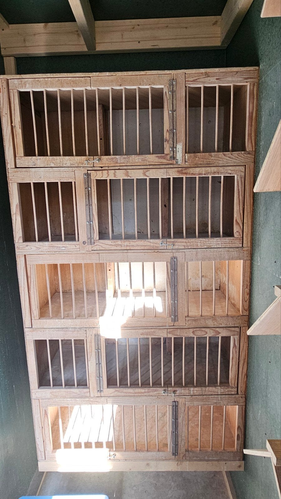 broedhokken 5 plaatsen, Dieren en Toebehoren, Ophalen