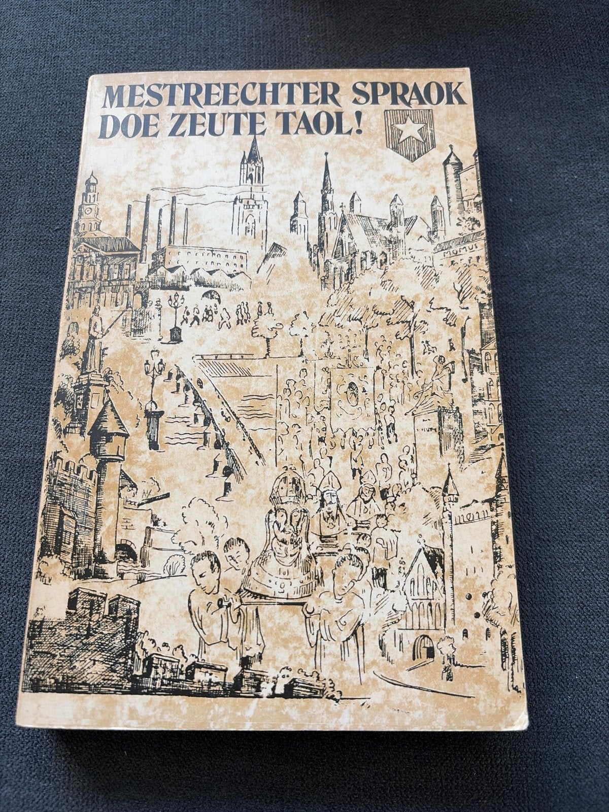 Mestreechter Spraok Doe Zeute Taol! (Maastrichts dialect), Ophalen of Verzenden, Gelezen, Non-fictie