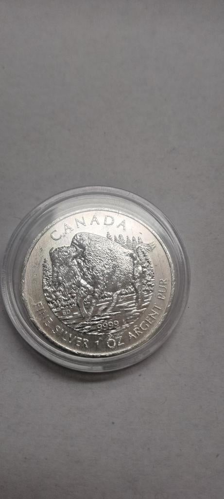 Canada 2013 Zilveren Buffel 1oz Munt, Ophalen of Verzenden