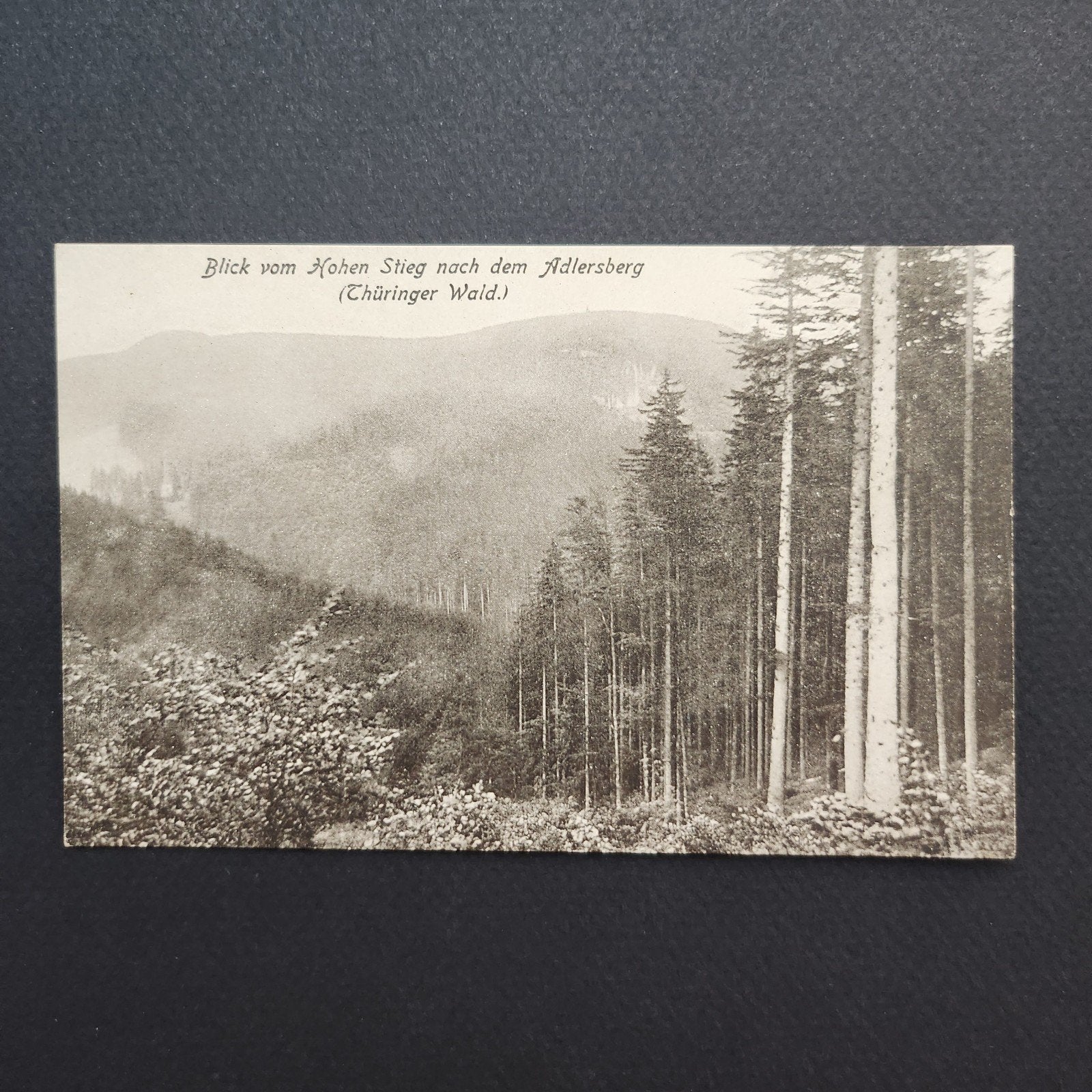 Oude Ansichtkaart: Blik vom Hohen Stieg, Thüringer Wald, Verzenden, Voor 1920, Ongelopen, Duitsland