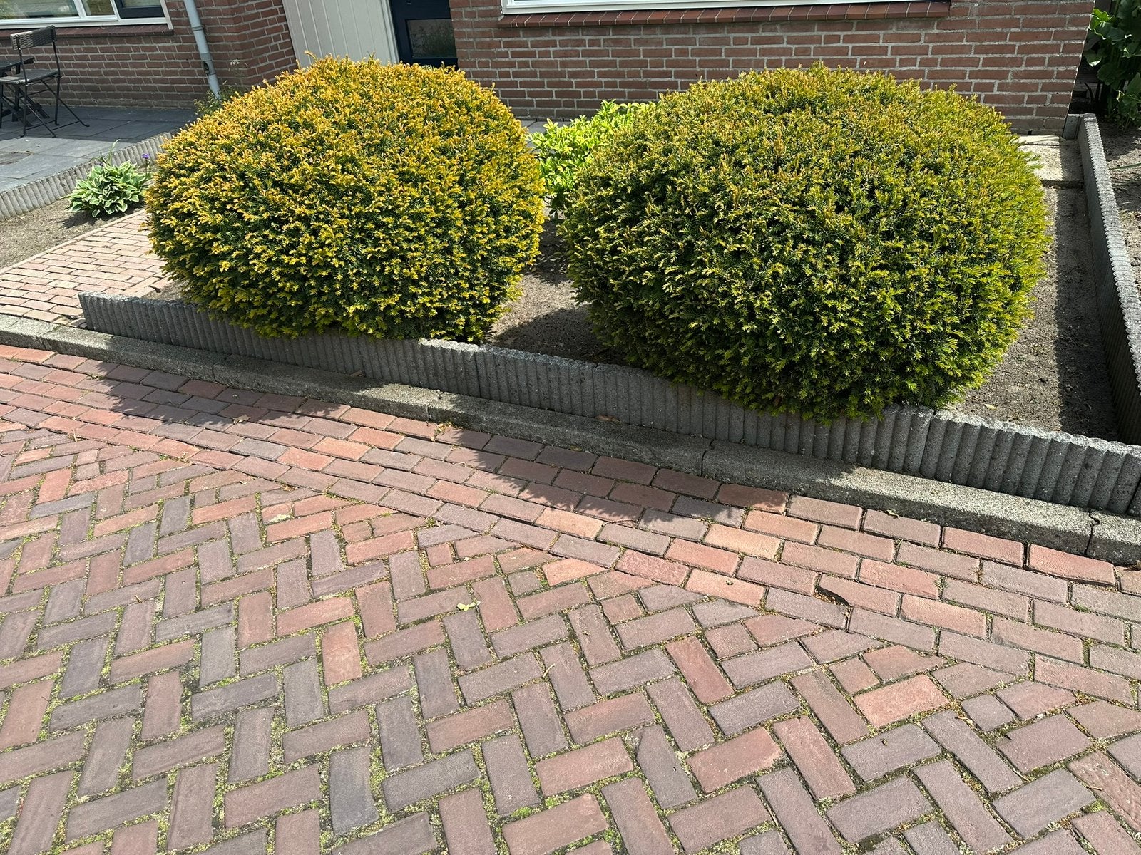 Gratis lees overige, Ophalen, Overige soorten