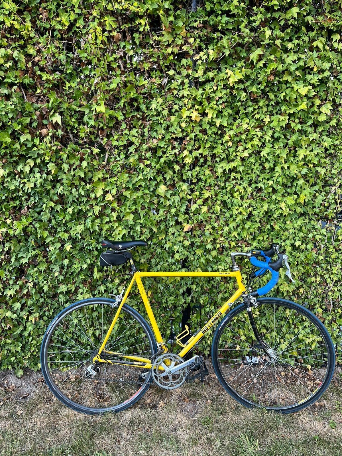 Bioracer racefiets mt 58, Gebruikt, 57 tot 61 cm, Meer dan 20 versnellingen, Ophalen