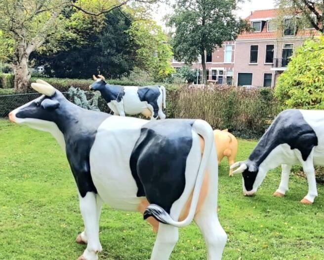 Koe beeld, polyester geit, varken, lammetje, kalf beeld, Ophalen, Boerderijdier, Beeldje of Figuurtje