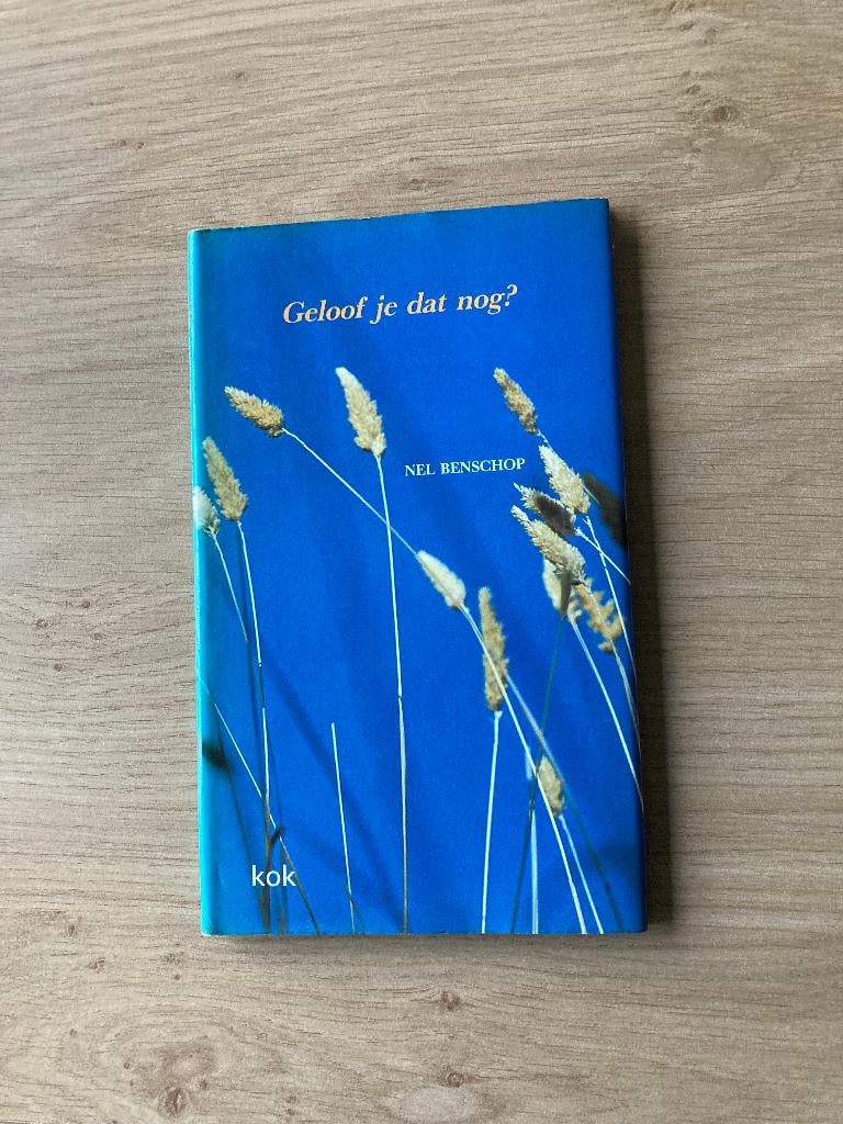Boek Nel Benschop, Boeken, Ophalen of Verzenden, Gelezen