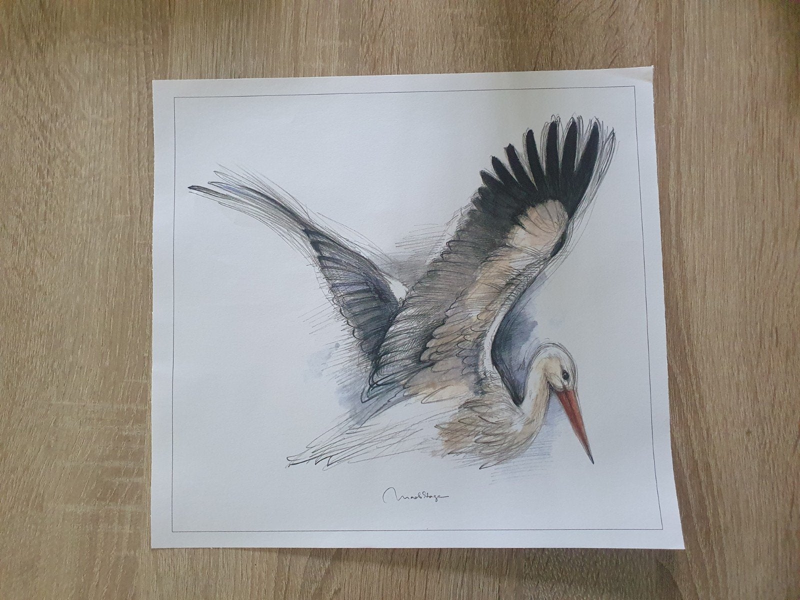 Set van 5 vogelposters van Mads Stage, Ophalen of Verzenden, Gebruikt, A1 t/m A3, Dier of Natuur