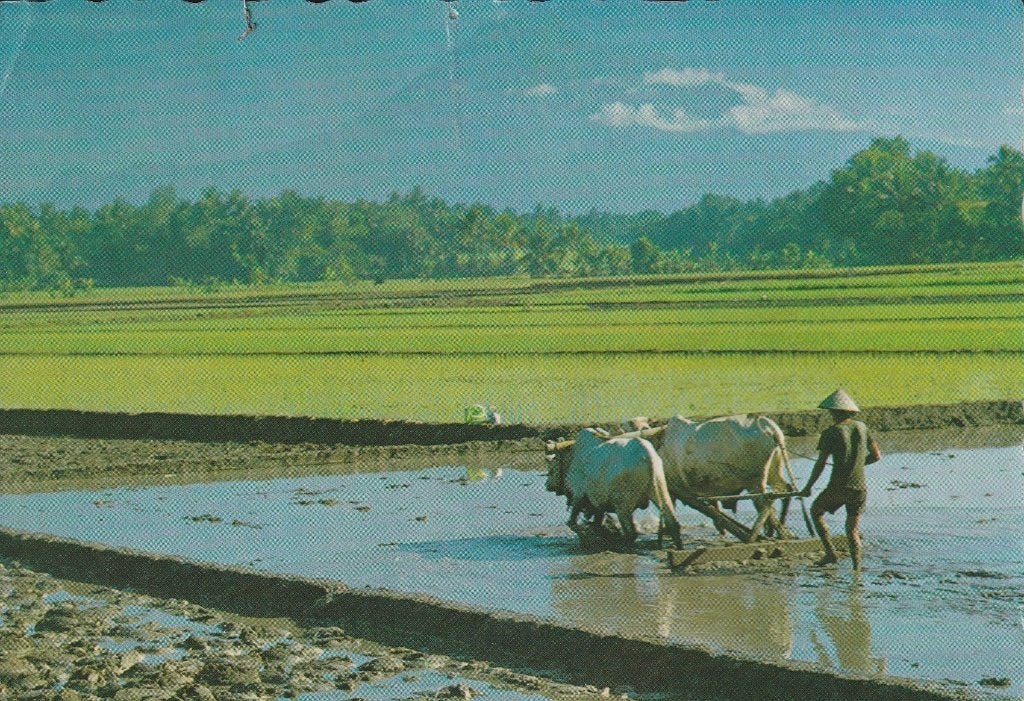 3x Java, Ophalen of Verzenden, 1940 tot 1960, Gelopen, Buiten Europa