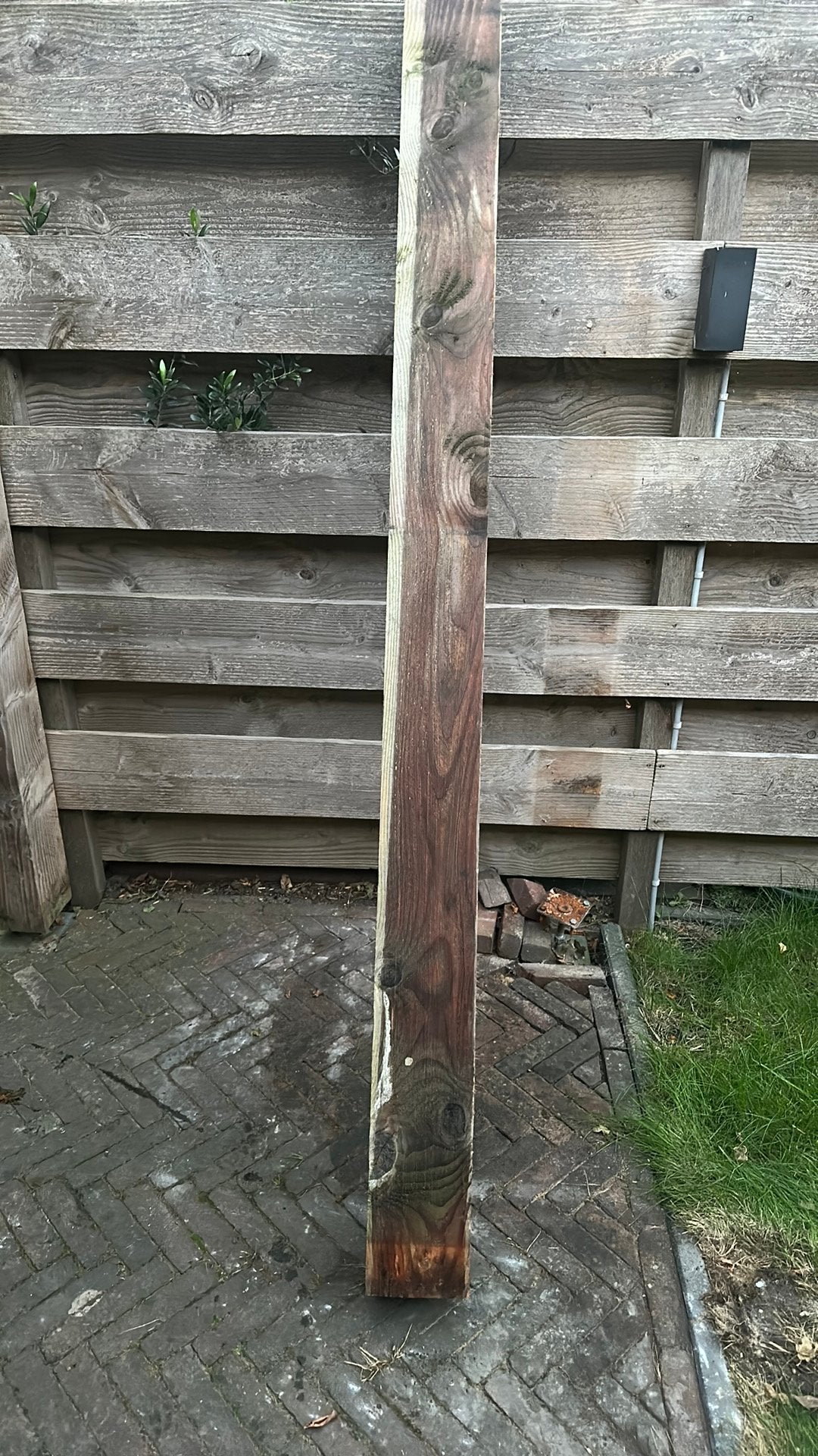 1 douglas paal, Ophalen, Zo goed als nieuw, 180 tot 250 cm, Palen