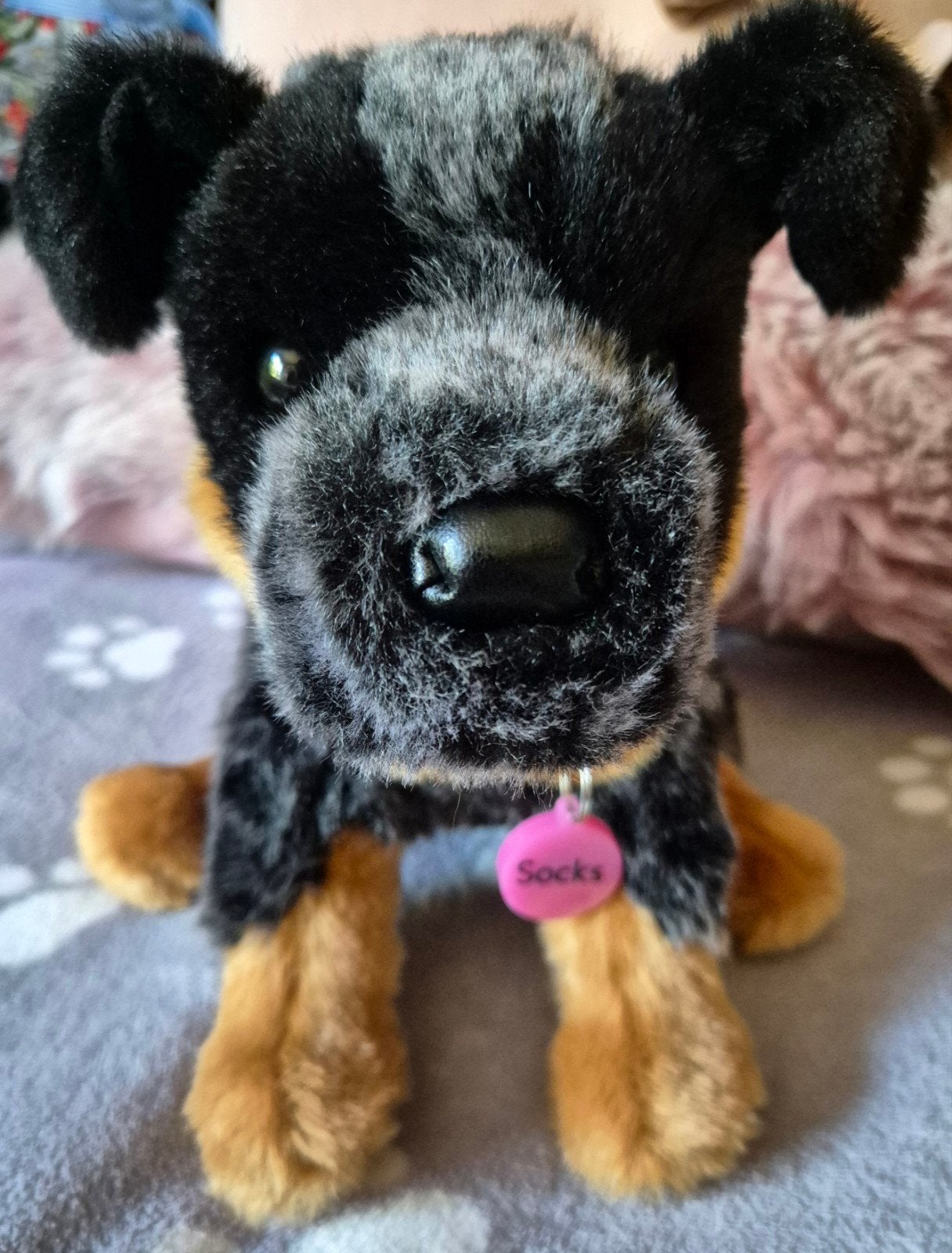 Douglas cuddle toys dexter cattle dog honden knuffel ESSA, Overige merken, Overige karakters, Nieuw, Middelgroot (20 tot 80 cm)
