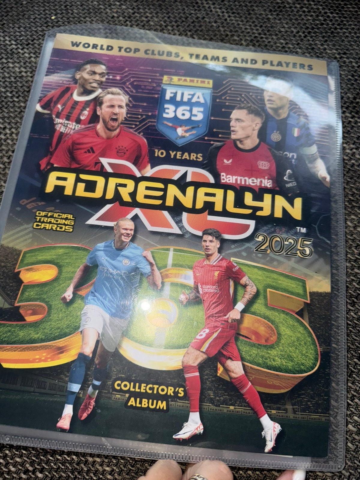GEZOCHT! Panini fifa 365 kaarten 2025 - 10 years, Ophalen of Verzenden, Zo goed als nieuw