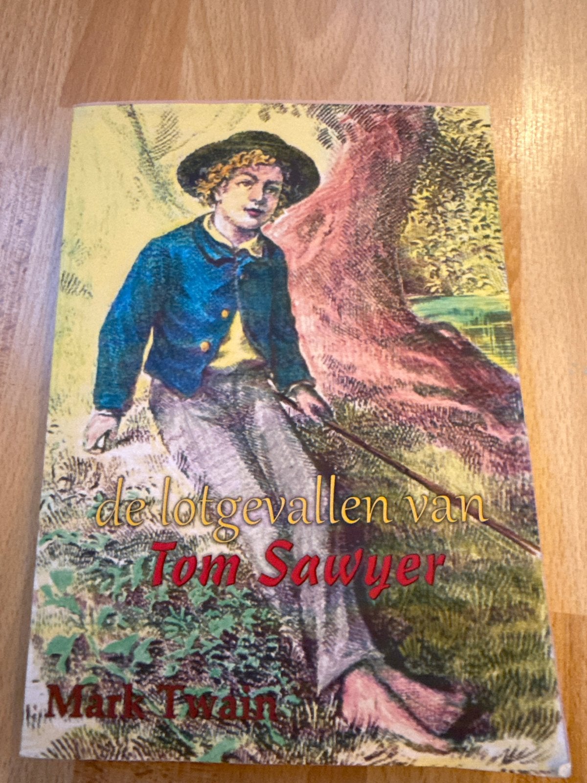 De Lotgevallen van Tom Sawyer - Mark Twain, Boeken, Ophalen of Verzenden, Zo goed als nieuw, Nederland