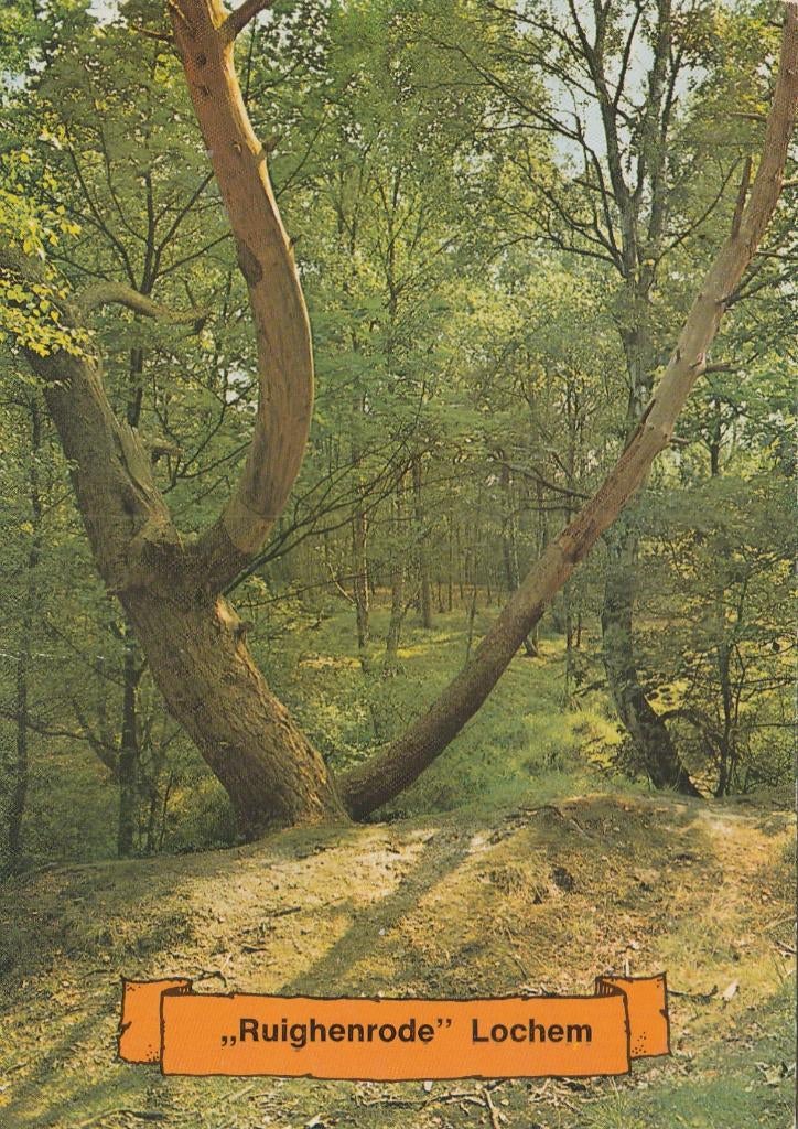 LOCHEM Ruighenrode, Verzenden, 1980 tot heden, Gelopen, Gelderland