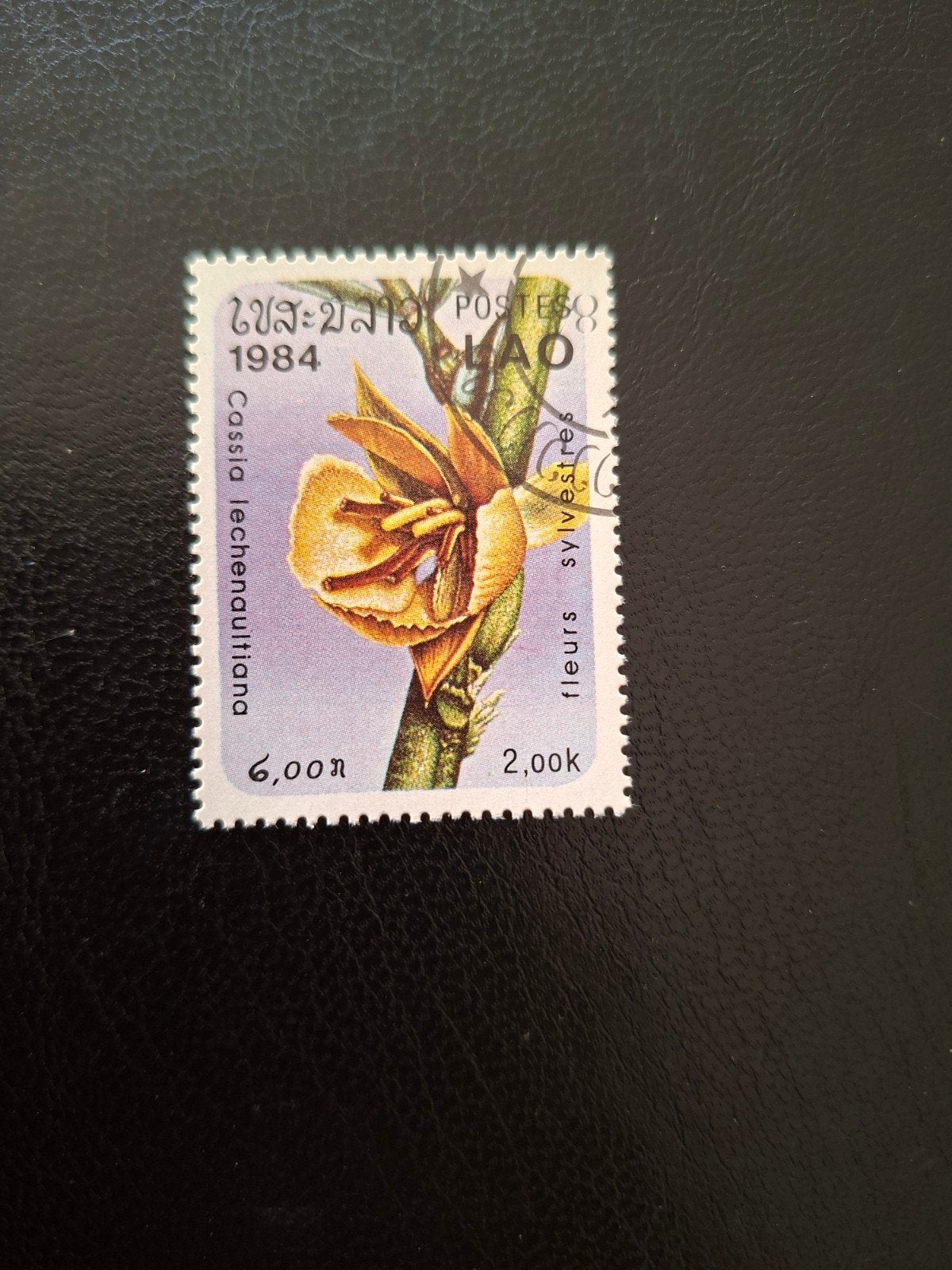 Bloemen.  Laos, Ophalen of Verzenden, Dier of Natuur
