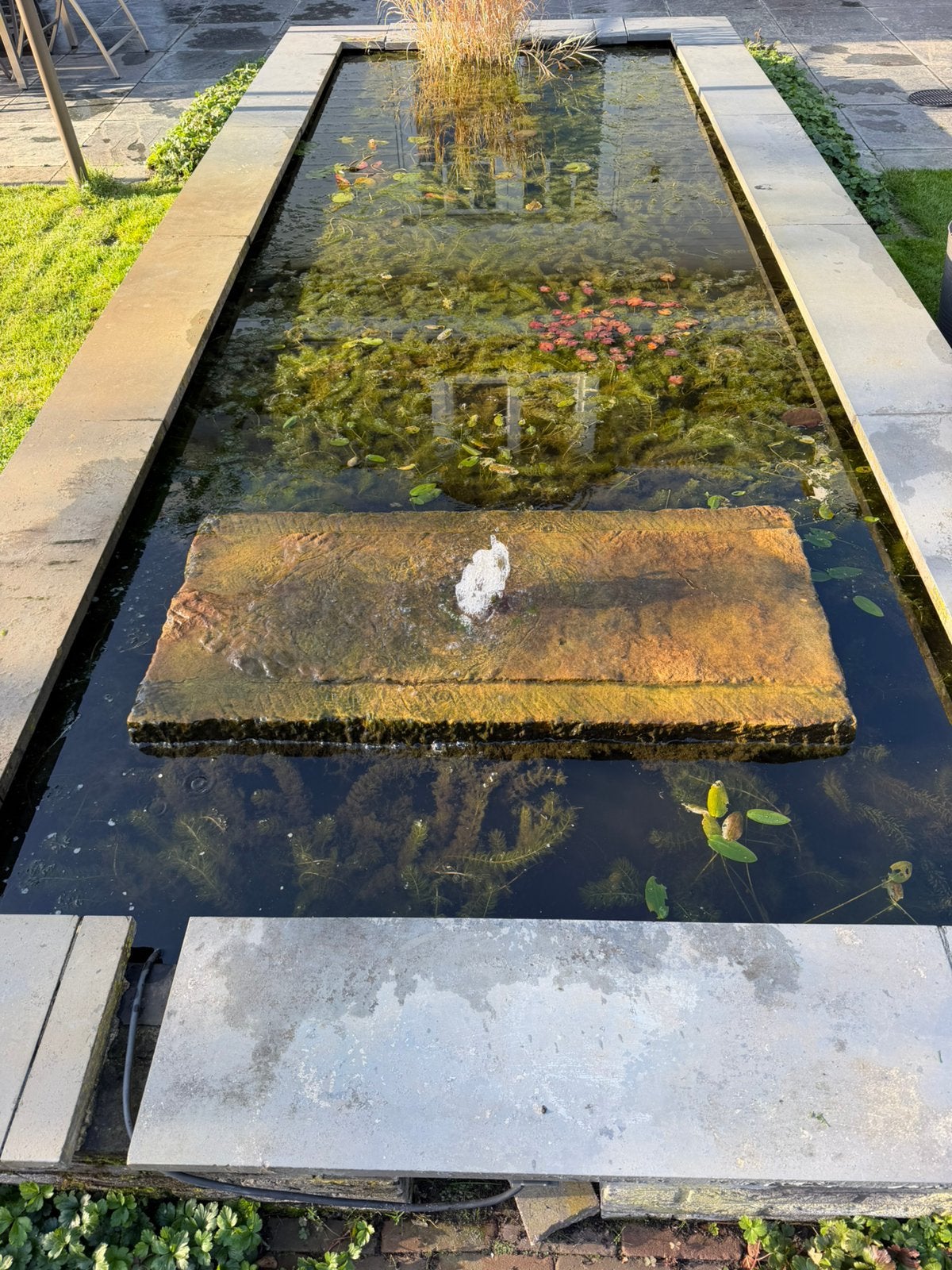 Vijver fontein te koop, Ophalen, Gebruikt, Beton, Fontein