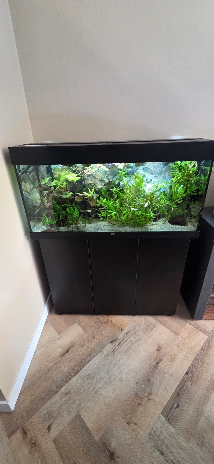 Juwel 180 aquarium te koop, Dieren en Toebehoren, Vissen | Aquaria en Toebehoren, Ophalen, Gebruikt, Gevuld zoetwateraquarium