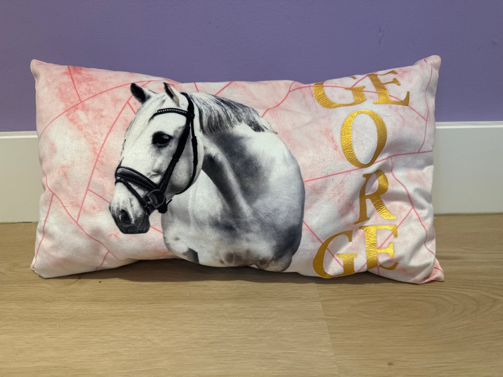 Paardenpraat tv kussen met george er op, Overige merken, Meerkleurig, Met print, Ophalen of Verzenden