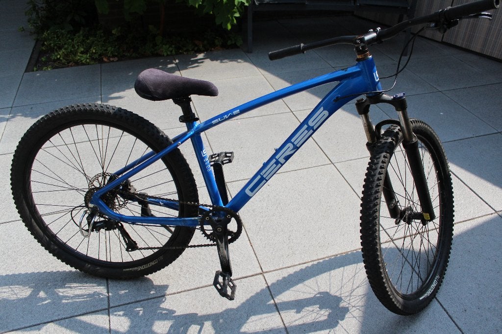 mountainbike, Gebruikt, 57 cm of meer, Heren, Schijfrem