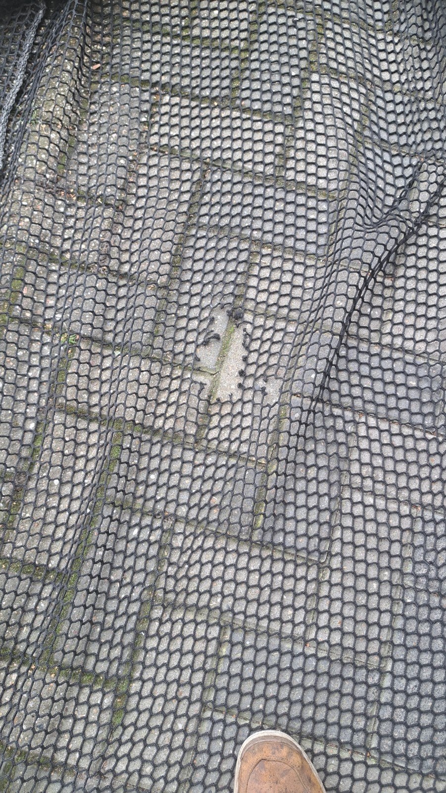 nylon  net/afrastering /aanhangernet  lengte +/_ 20 meter., Ophalen, Gebruikt