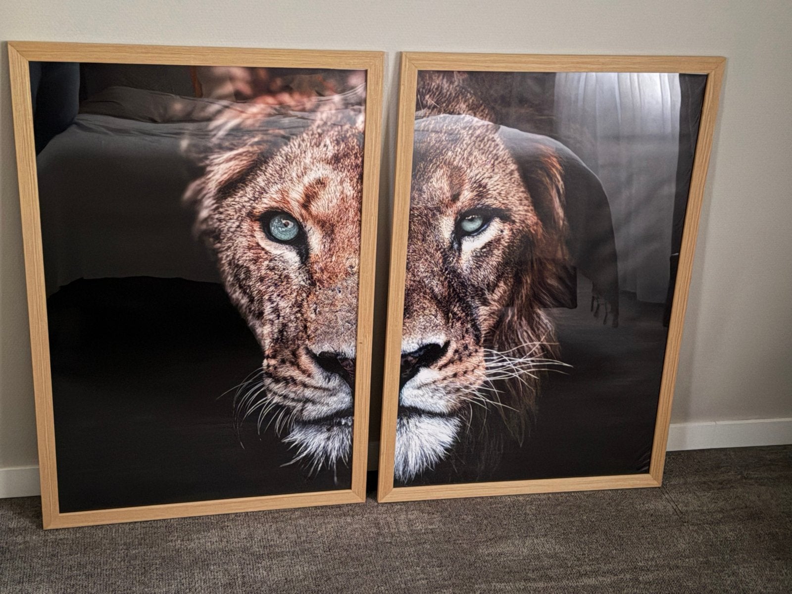 Ingelijste poster leeuw en leeuwin, Ophalen, Rechthoekig Staand, Met lijst, Zo goed als nieuw