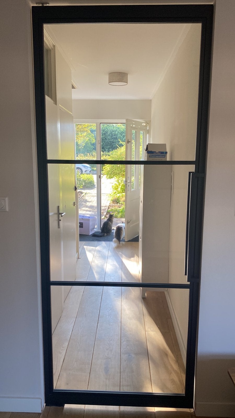 Stalen taatsdeur met grijs gerookt glas, 2315x930mm, Ophalen, 80 tot 100 cm, 215 cm of meer, Binnendeur