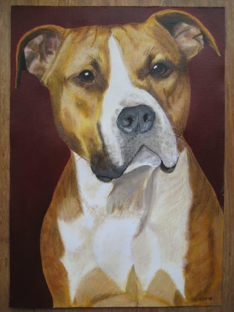 Handgeschilderd: Stafford / Staffordshire (30 x 42 cm.), Ophalen, Minder dan 50 cm, Oorspronkelijke maker, Nieuw