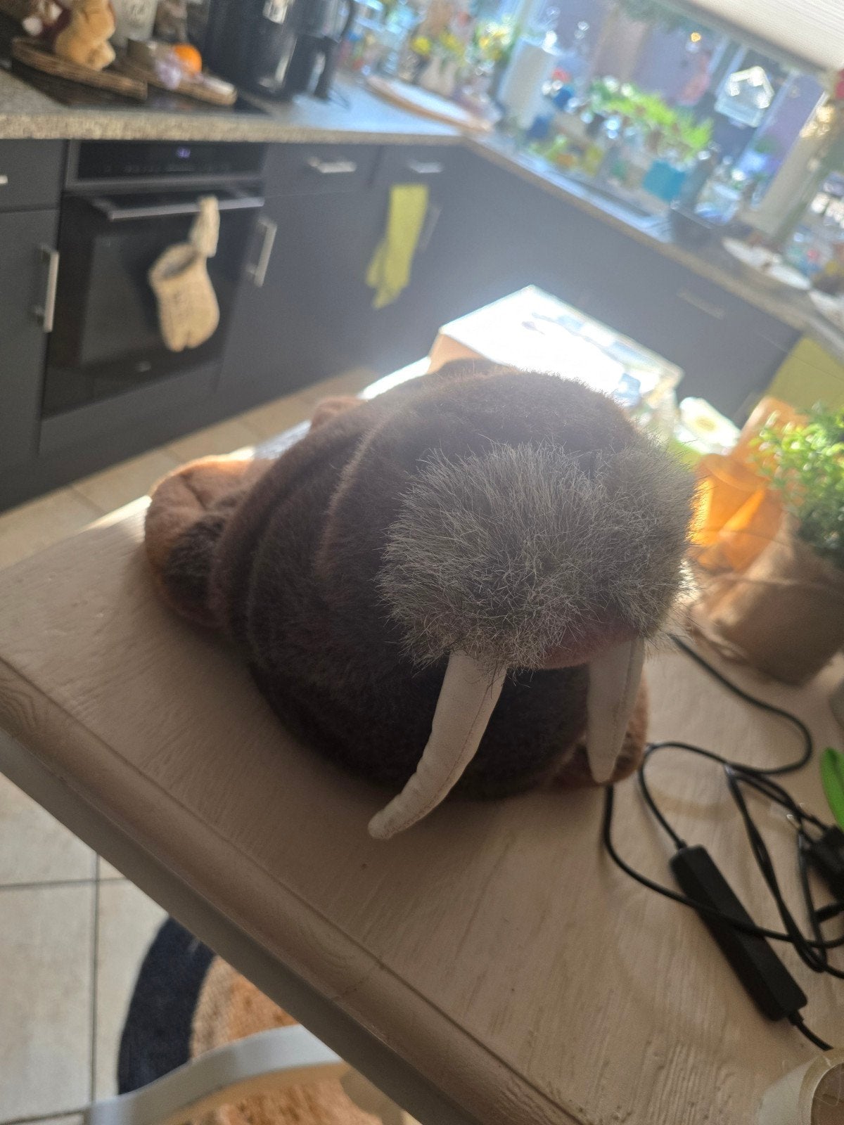 Walrus knuffel 40 cm, Ophalen, Zo goed als nieuw, Overige typen
