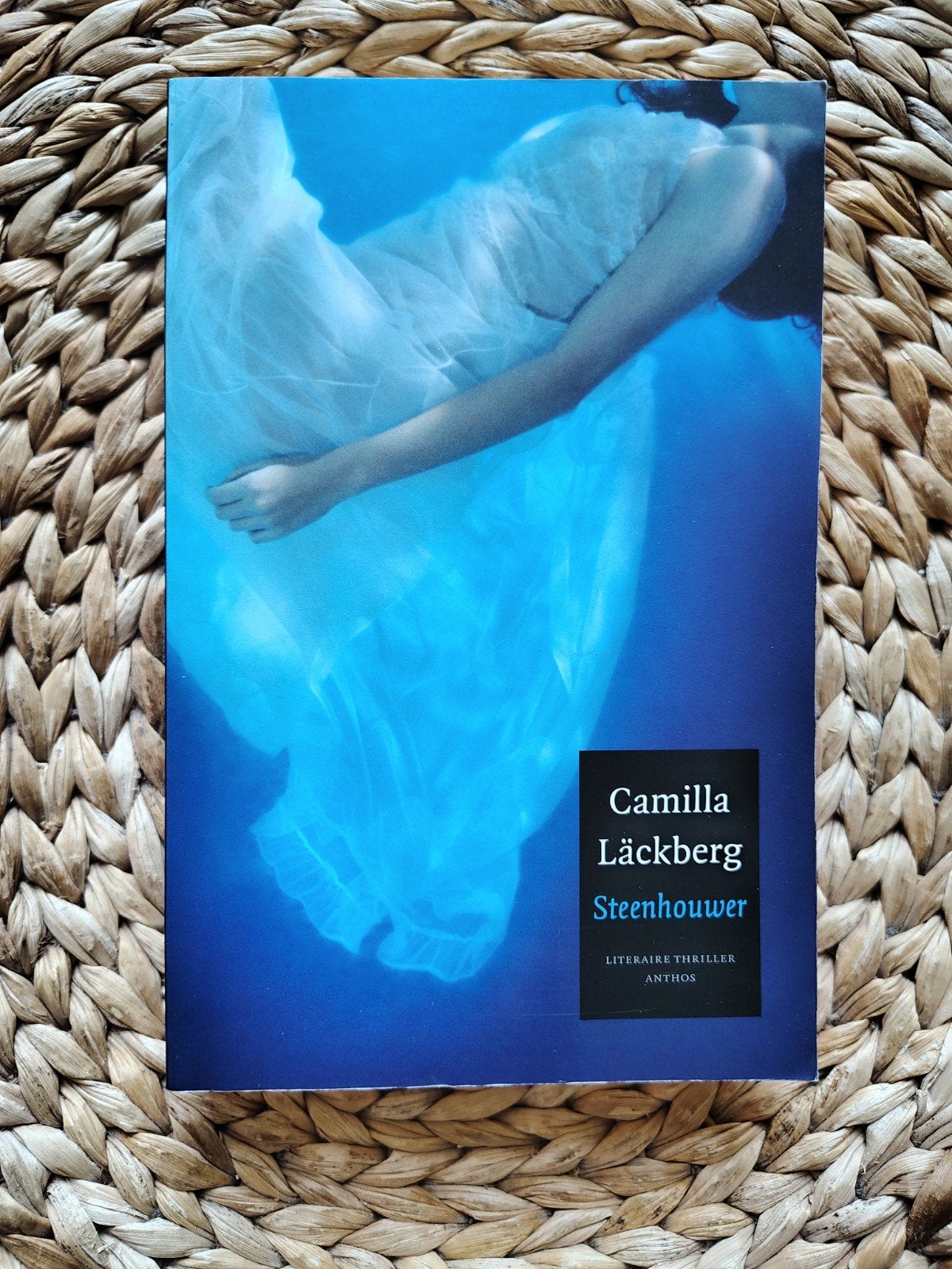 Camilla Läckberg - Steenhouwer, Ophalen of Verzenden, Zo goed als nieuw