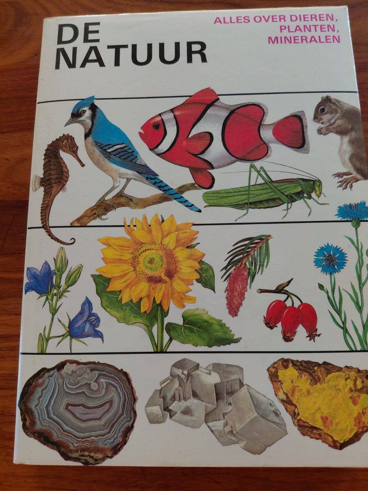 De Natuur, Ophalen of Verzenden, Gelezen, Natuur algemeen