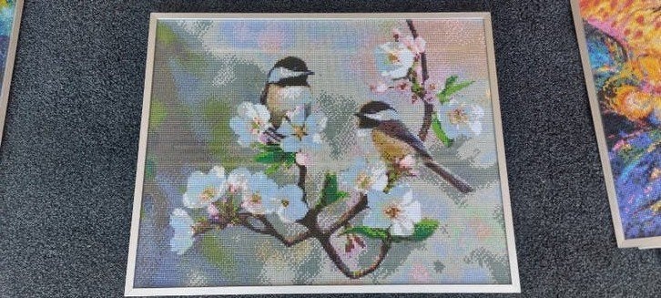 Diamond painting schilderij   vogels op bloesem, Ophalen of Verzenden, Schilderij