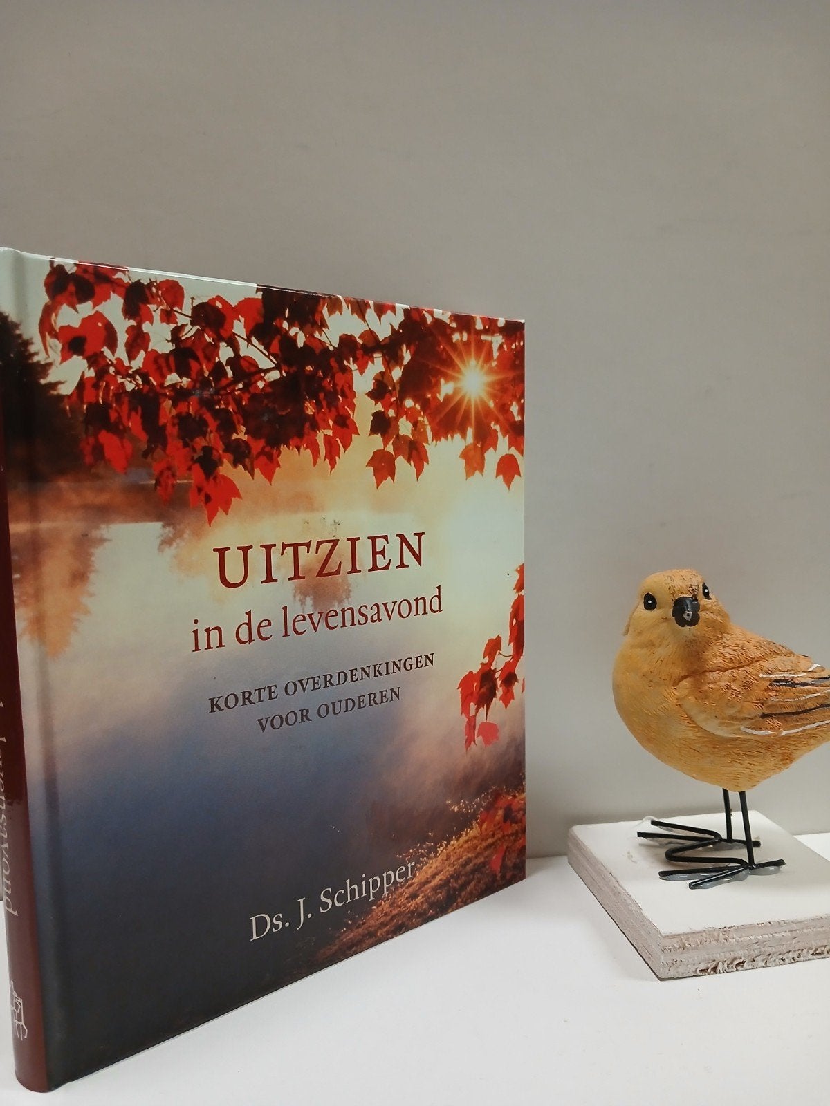 Schipper, Ds. J.; Uitzien in de levensavond, Boeken, Ophalen of Verzenden, Gelezen, Christendom | Protestants