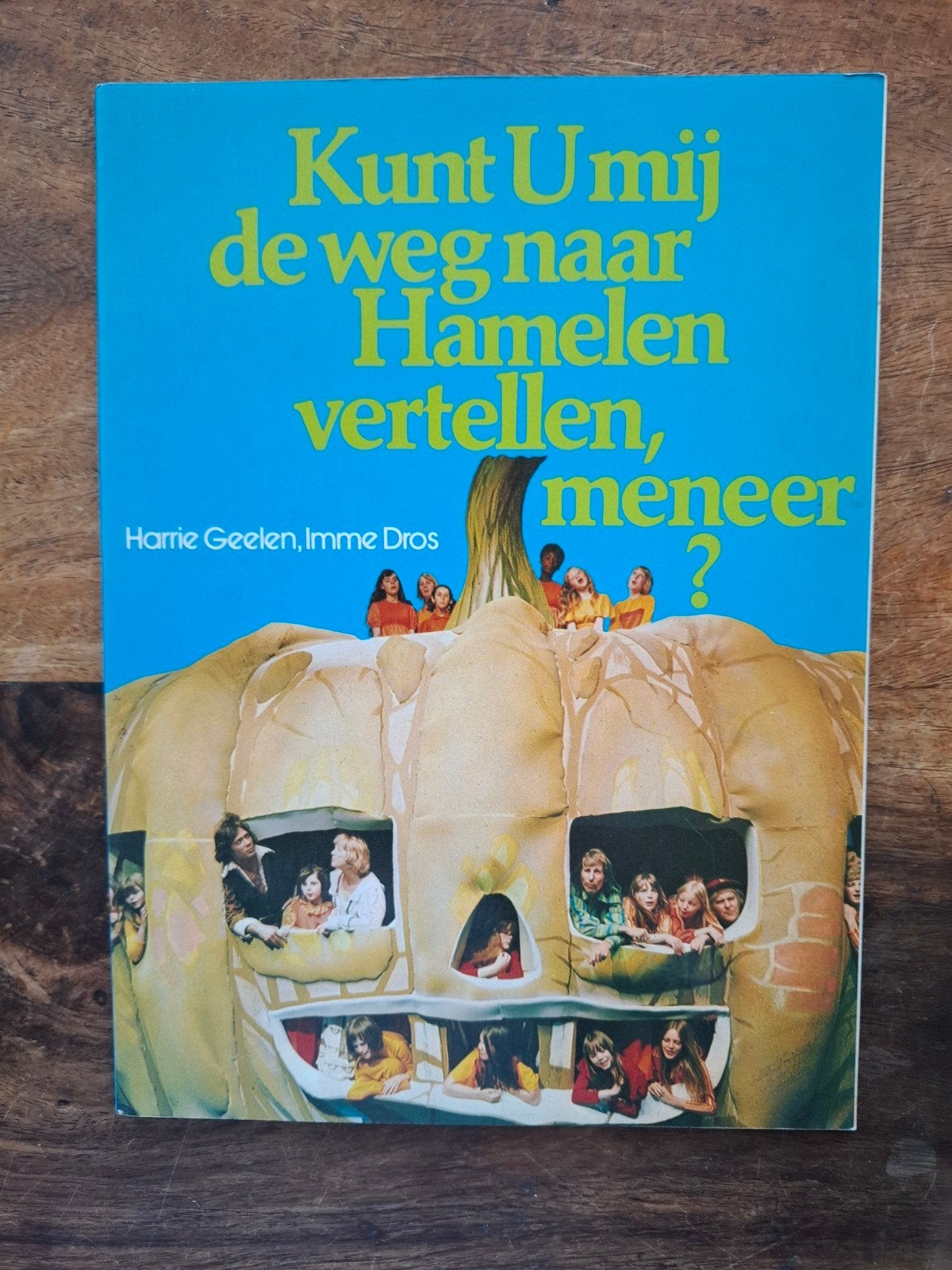 Kunt U Mij de Weg naar Hamelen Vertellen, Meneer?, Fictie algemeen, Nieuw, Ophalen of Verzenden, Harrie Geelen, Imme Dros