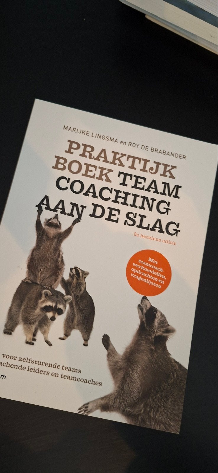 Praktijkboek Teamcoaching Aan de Slag - 2e editie, Ophalen of Verzenden, Zo goed als nieuw, Marijke Lingsma en Roy de Brabander