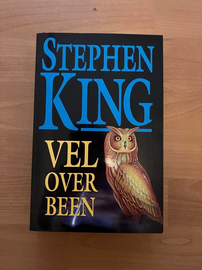 Stephen King - Het Verloren Been, Ophalen of Verzenden, Gelezen, Nederland