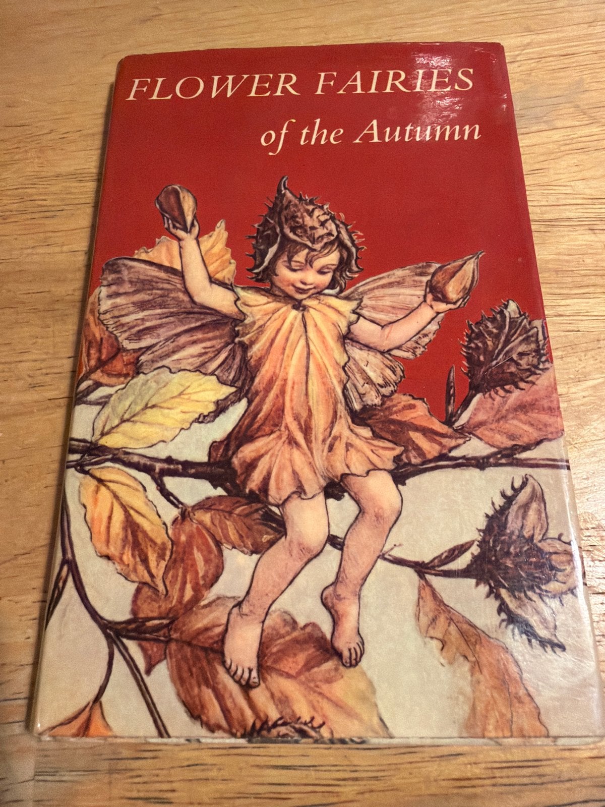 Flower Fairies of the Autumn - Vintage Kinderboek, Ophalen of Verzenden, Gelezen