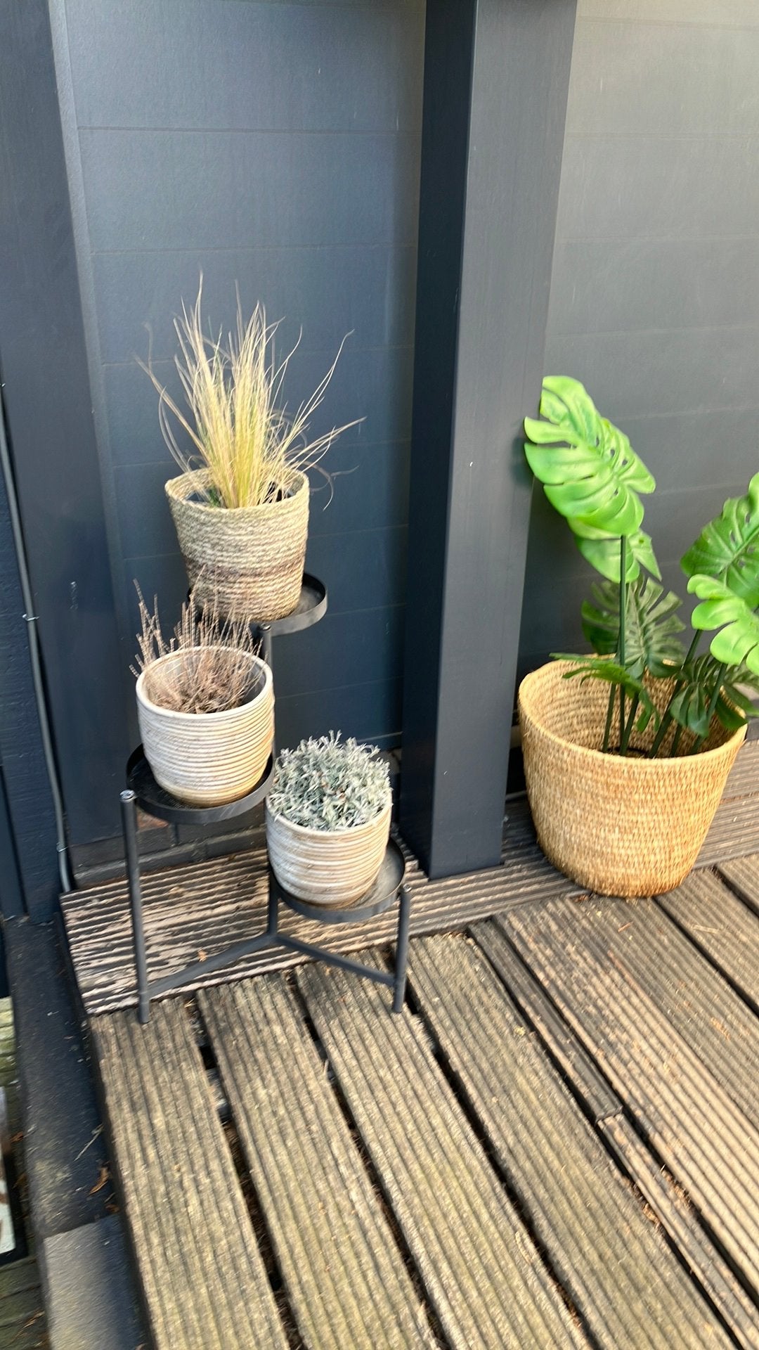 Plantenrekje met plantjes en pot, Ophalen, Zo goed als nieuw, Rond, Minder dan 30 cm
