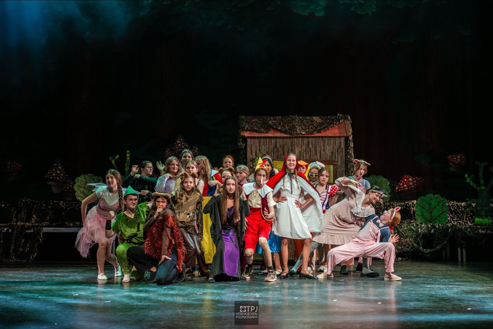 Shrek kostuum voor complete cast, Ophalen, Zo goed als nieuw